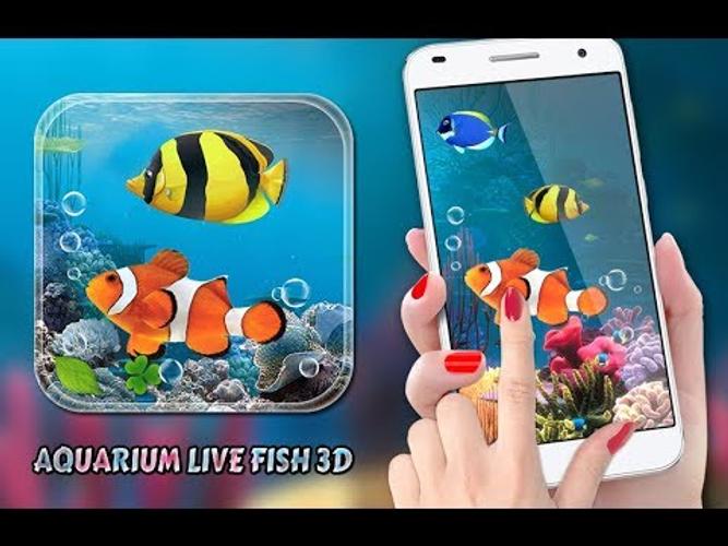 無料で 水族館 魚 ライブ壁紙 19 コイ 魚 無料 アプリの最新版 Apk1 3をダウンロードー Android用 水族館 魚 ライブ壁紙 19 コイ 魚 無料 Apk の最新バージョンをダウンロード Apkfab Com Jp