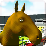 Horseman Ragdoll 2019