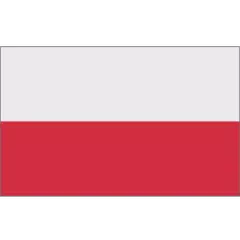 Historia polska