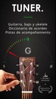 Guitar Tuner Poster