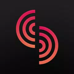 Stemz: AI Tool for Musicians XAPK 下載