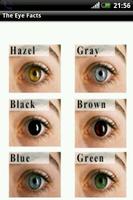 The Eye Facts スクリーンショット 2