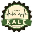 Ensaladas Kale APK