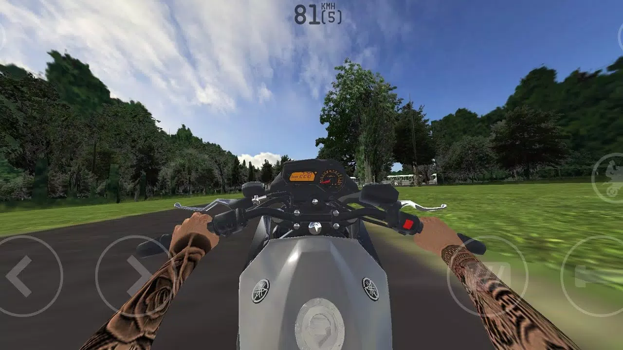 Download MX Grau Bike Racing 3D APK Full