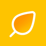 القران الكريم ورقة الجنة