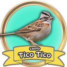 Canto de Tico-Tico Fêmea simgesi