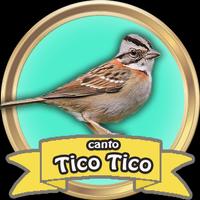 Canto de Tico-Tico Fêmea पोस्टर