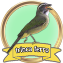 Canto de Trinca Ferro HD Completo APK