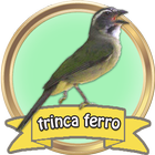 Canto de Trinca Ferro HD Completo 图标