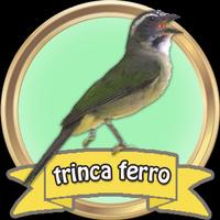 Canto de Trinca Ferro HD Completo ポスター