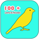 100+  Canto de Pássaros HD APK