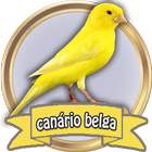Canto Canário Belga Campainha HD icône