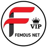 FEMOUS NET VIP VPN icon