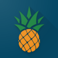 Pineapple HRM