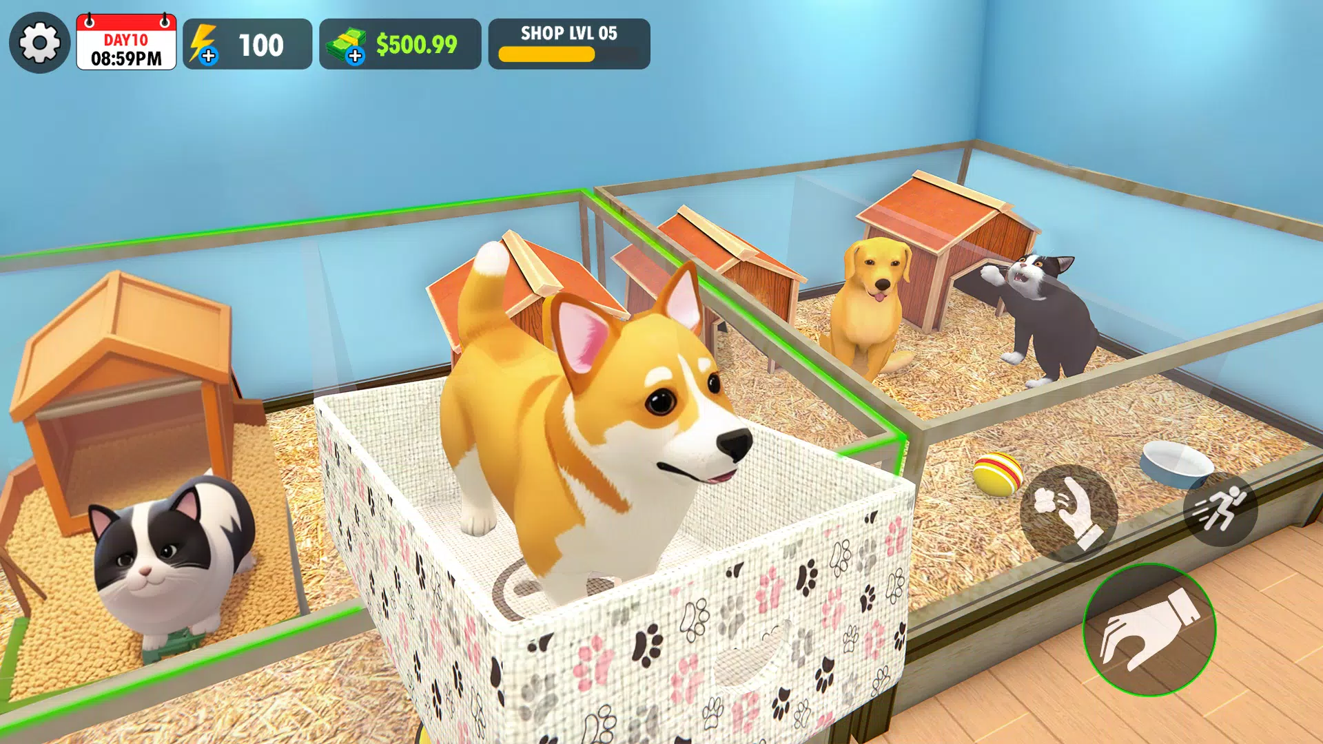 宠物店模拟器 3D