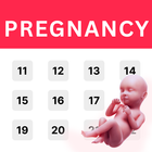 Icona Pregnancy Tracker & Calculator