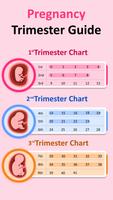 2 Schermata Pregnancy Tracker & Calculator