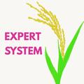 Rice disease