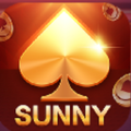 Sunny Game