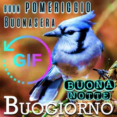 Italian Good Morning Night Gif APK download
