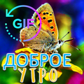”Доброе утро GIF Пожелания