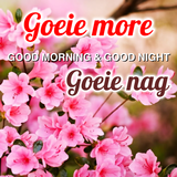 Afrikaans Daily Wishes Message