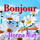 French Good Morning to Night APK