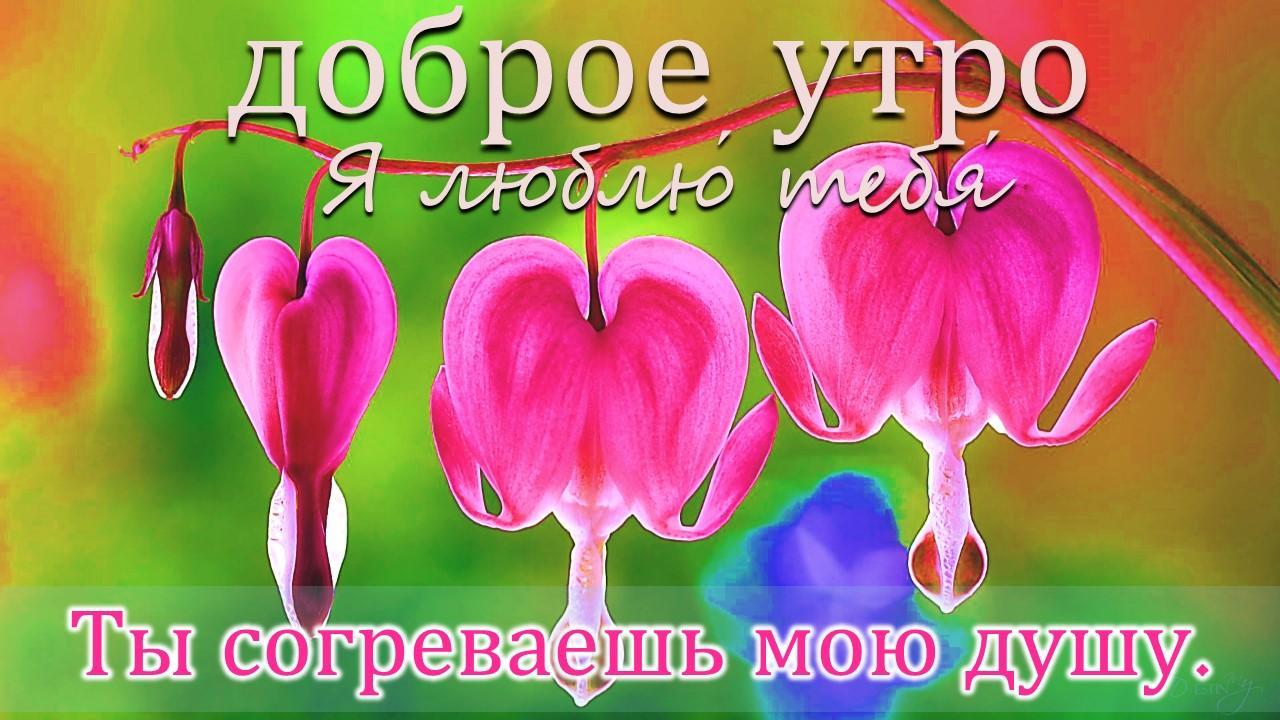 Доброе утро моя маленькая девочка мем Пусть тебя согреет