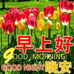 Chinese Good Morning to Night APK download