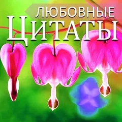 Russian Love Messages & Quotes XAPK download