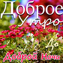 Пожелания доброго утра и ночи APK