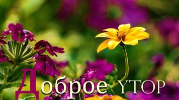 Пожелания доброго утра и ночи Cartaz