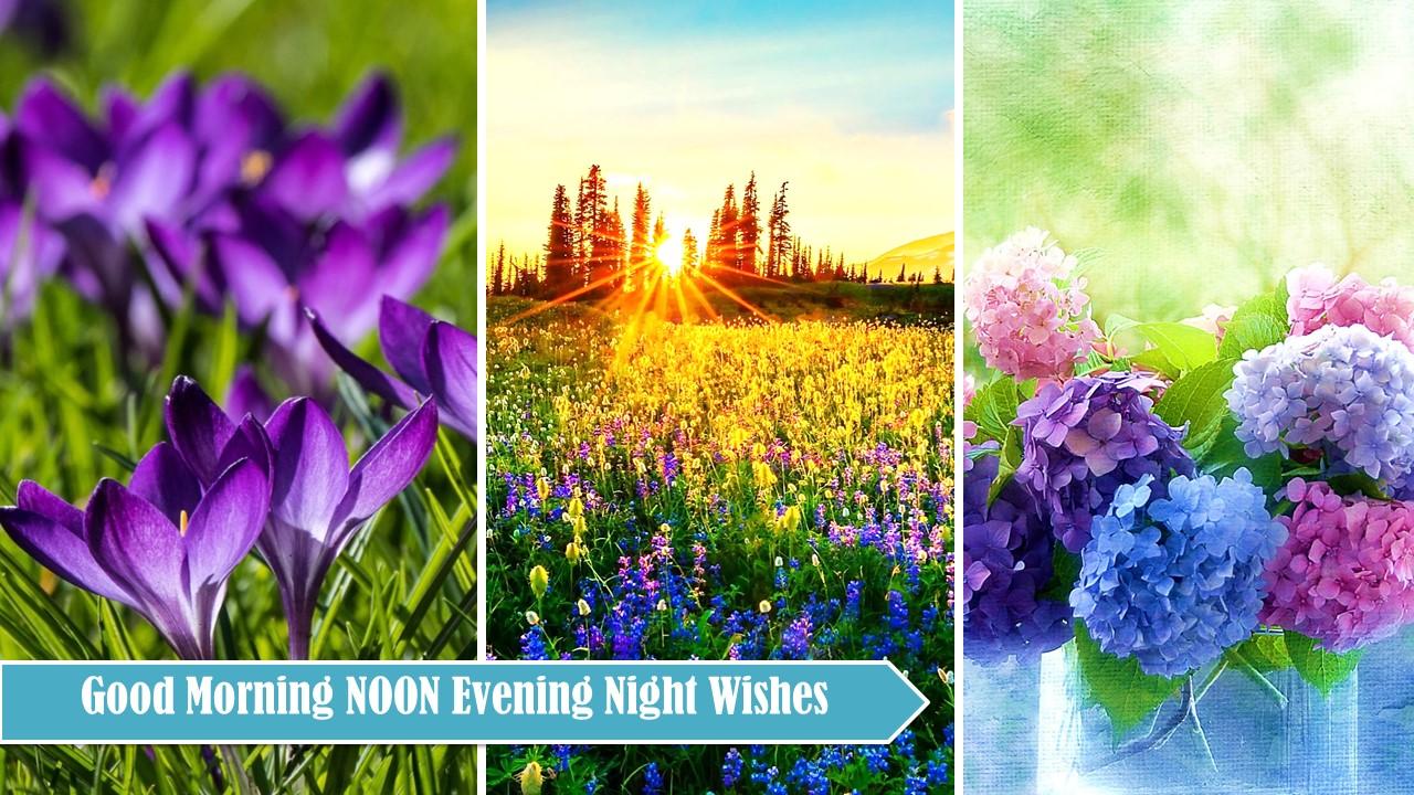 Good Morning Afternoon Evening Night in English APK 4.18.03.0 Download
