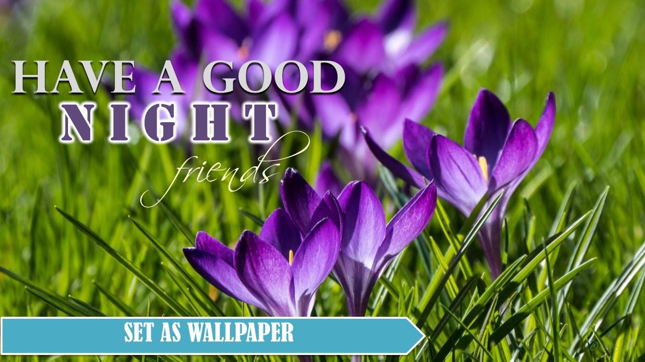 Good Morning Afternoon Evening Night in English APK 4.18.03.0 Download