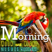 Icona Good Morning Noon Night Cards