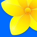 Gallery - Photos & Widgets APK