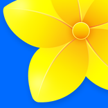 Gallery - Photos & Widgets