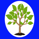 ووتەی بە نرخ APK