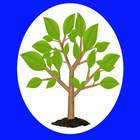 ووتەی بە نرخ آئیکن