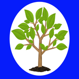 ووتەی بە نرخ иконка