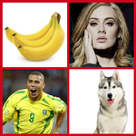 اوجد الصورة المشابهة icon