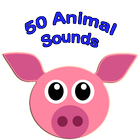 50 Animal Sounds biểu tượng