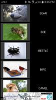 50 Animal Sounds bài đăng