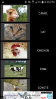 50 Animal Sounds ảnh chụp màn hình 1