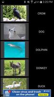 50 Animal Sounds ảnh chụp màn hình 2