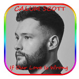 Calum Scott  If Our Love Is Wr