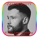 Calum Scott  If Our Love Is Wr APK