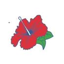 BorinquenCare APK