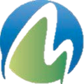 Michigan Orthopaedic Surgeons
