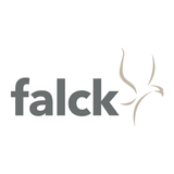 Falck icône
